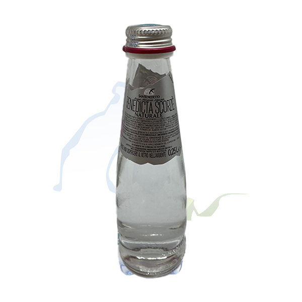 SAN BENEDETTO VETRO  Naturale 25cl - La Cristallina Water